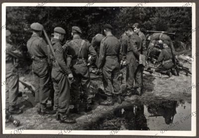 ref: D/DLI 7/534/3(127)