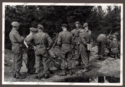 ref: D/DLI 7/534/3(130)