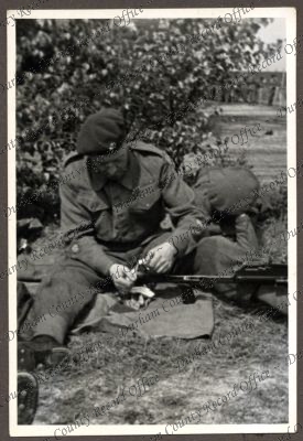 ref: D/DLI 7/534/3(131)