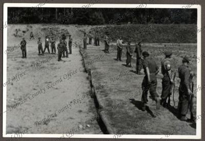 ref: D/DLI 7/534/3(135)