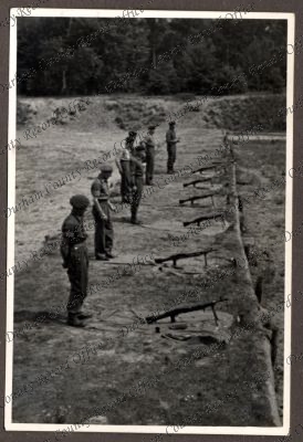 ref: D/DLI 7/534/3(137)