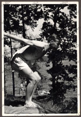 ref: D/DLI 7/534/3(139)