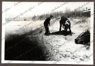 ref: D/DLI 7/534/3(147)