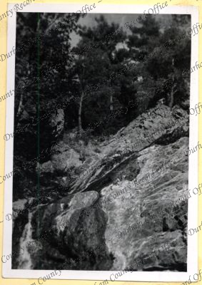 ref: D/DLI 7/534/4(7)