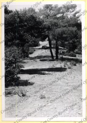 ref: D/DLI 7/534/4(8)