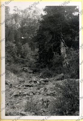 ref: D/DLI 7/534/4(10)