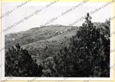 ref: D/DLI 7/534/4(13)