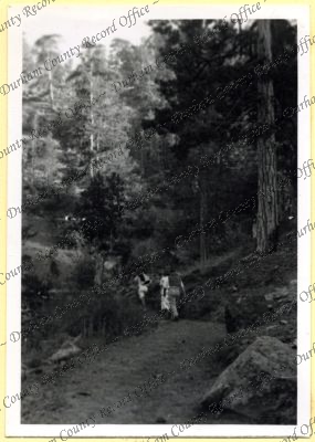 ref: D/DLI 7/534/4(14)