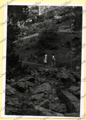 ref: D/DLI 7/534/4(15)