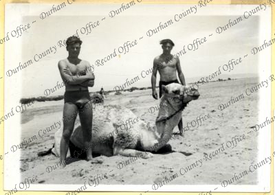 ref: D/DLI 7/534/4(29)