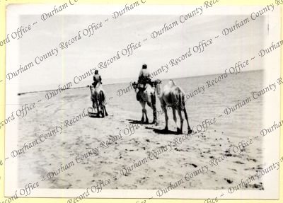 ref: D/DLI 7/534/4(32)