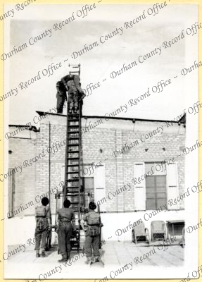 ref: D/DLI 7/534/4(38)