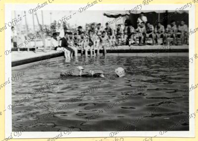 ref: D/DLI 7/534/4(60)