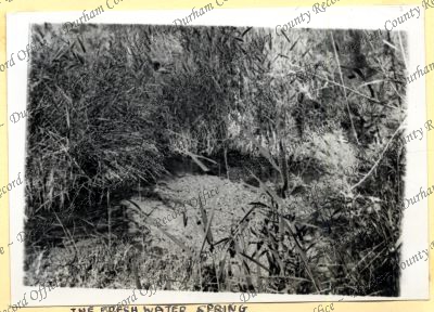 ref: D/DLI 7/534/4(90)