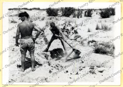 ref: D/DLI 7/534/4(95)