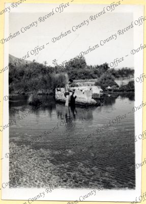 ref: D/DLI 7/534/4(99)