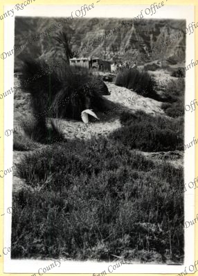 ref: D/DLI 7/534/4(100)