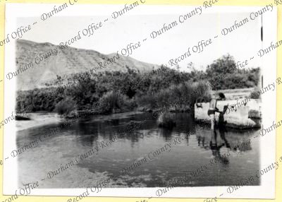 ref: D/DLI 7/534/4(101)