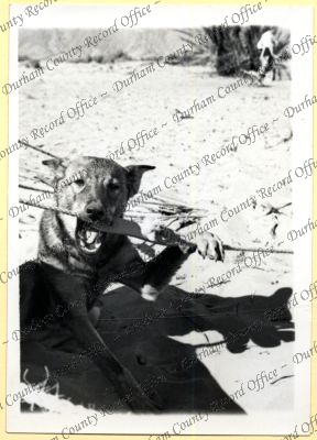 ref: D/DLI 7/534/4(110)