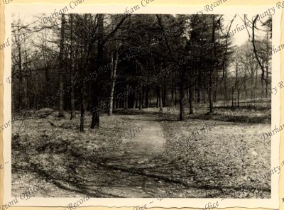 ref: D/DLI 7/534/5(7)