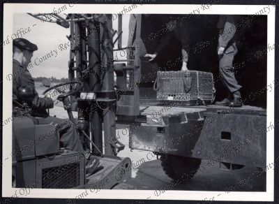 ref: D/DLI 7/534/6(27)