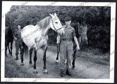 ref: D/DLI 7/534/6(87)