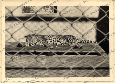 ref: D/DLI 7/534/7(4)