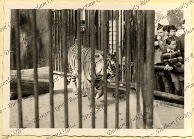 ref: D/DLI 7/534/7(5)