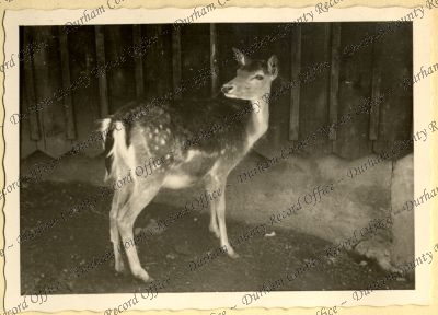 ref: D/DLI 7/534/7(7)