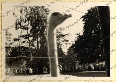 ref: D/DLI 7/534/7(8)