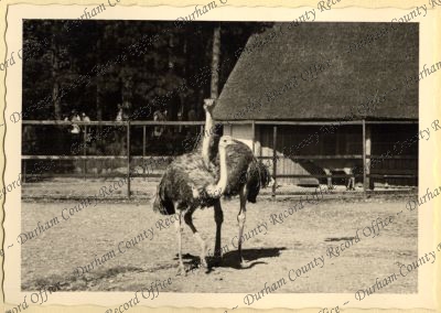 ref: D/DLI 7/534/7(9)