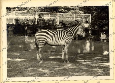 ref: D/DLI 7/534/7(10)