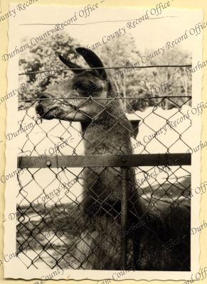 ref: D/DLI 7/534/7(11)