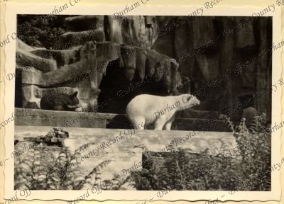 ref: D/DLI 7/534/7(12)