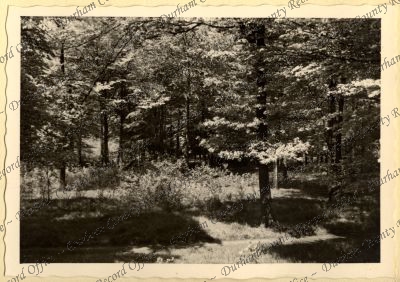 ref: D/DLI 7/534/7(21)