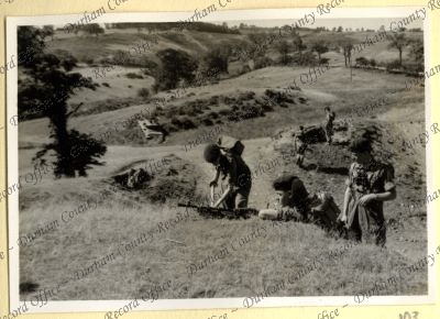 ref: D/DLI 7/534/7(103)