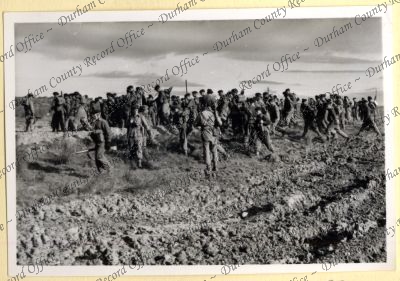 ref: D/DLI 7/534/7(107)