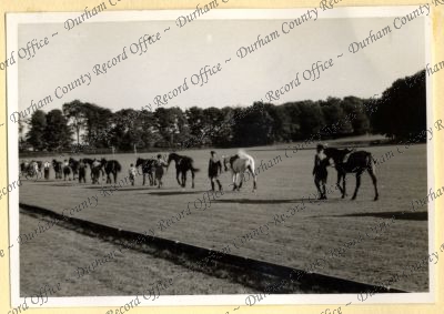 ref: D/DLI 7/534/7(115)