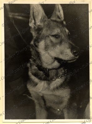 ref: D/DLI 7/534/7(165)