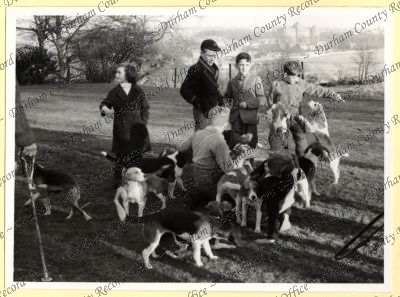 ref: D/DLI 7/534/7(179)