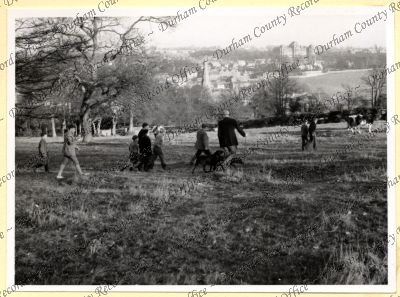 ref: D/DLI 7/534/7(181)