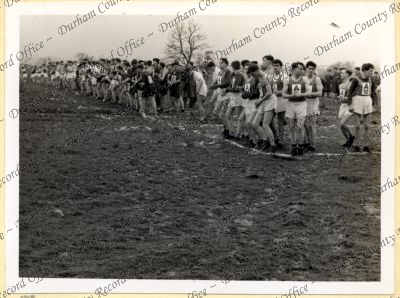 ref: D/DLI 7/534/7(193)