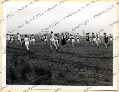 ref: D/DLI 7/534/7(195)