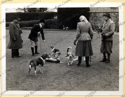 ref: D/DLI 7/534/7(203)