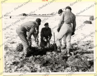 ref: D/DLI 7/534/8(29)