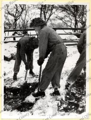 ref: D/DLI 7/534/8(37)