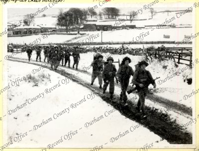 ref: D/DLI 7/534/8(41)