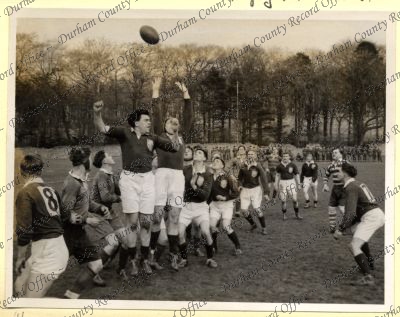 ref: D/DLI 7/534/8(46)