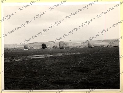 ref: D/DLI 7/534/8(63)