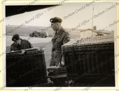 ref: D/DLI 7/534/8(67)